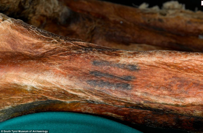 La mummia Ötzi: la sua maledizione è reale o no?
