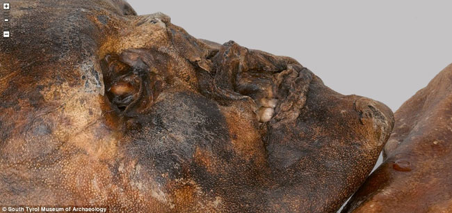 La mummia Ötzi: la sua maledizione è reale o no?