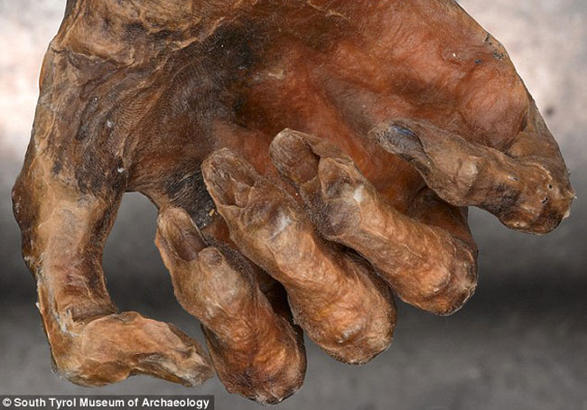 La mummia Ötzi: la sua maledizione è reale o no?