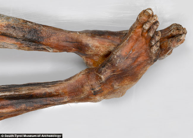La mummia Ötzi: la sua maledizione è reale o no?