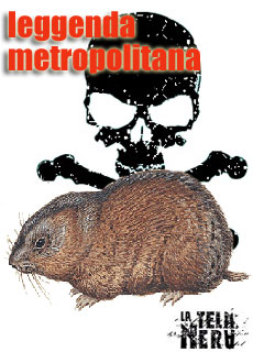 Leggende Metropolitane: I Lemmings e il leggendario suicidio di massa
