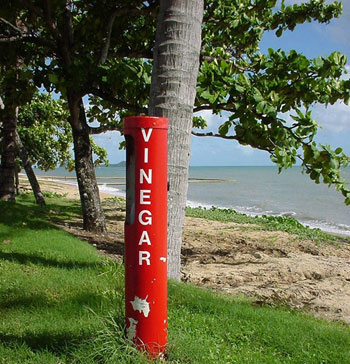 Scorte di aceto sulle spiagge australiane