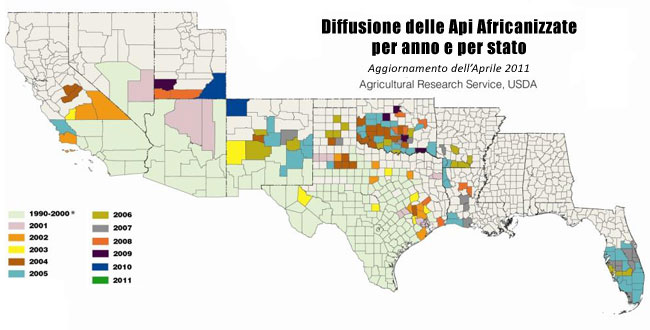 La diffusione in USA dell'ape killer