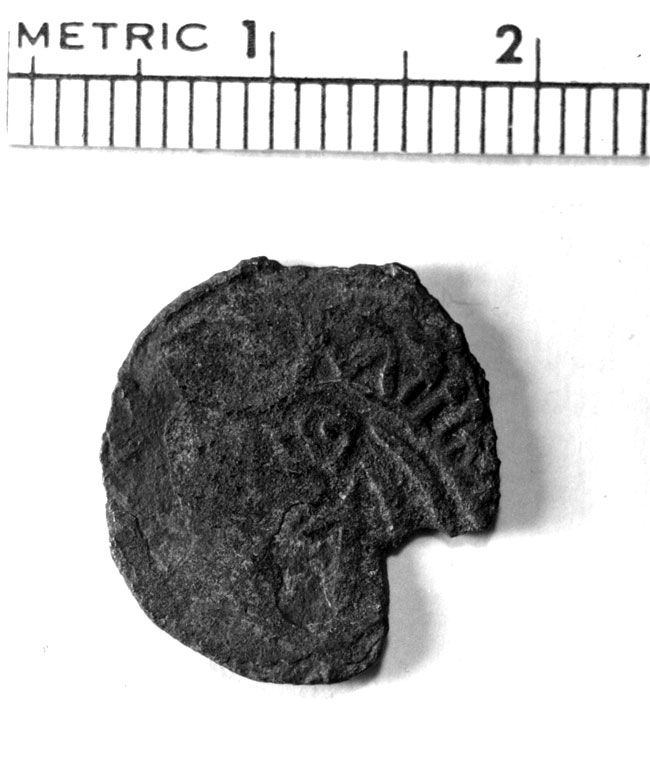 Il dettaglio del penny del Maine