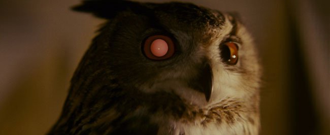 La civetta nel film Blade Runner