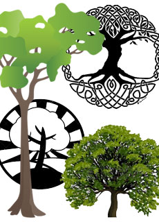 Significato e simbologia di alberi e piante tra passato e presente