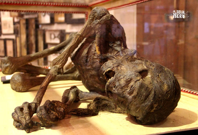 Il cadavere mummificato di Elisa