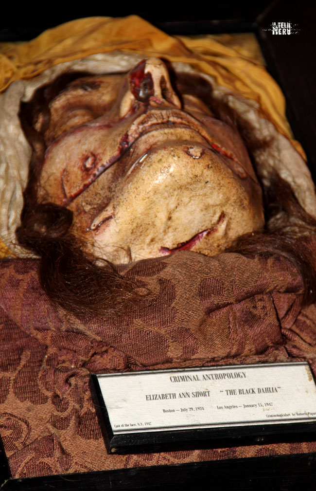 Il calco del volto del cadavere della Dalia Nera