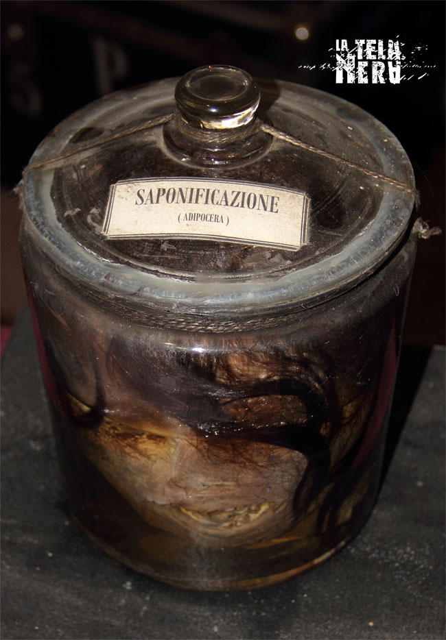 Una testa di donna in piena saponificazione Una testa di donna in piena saponificazione