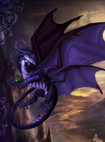 Il drago viola Night Il drago viola Night