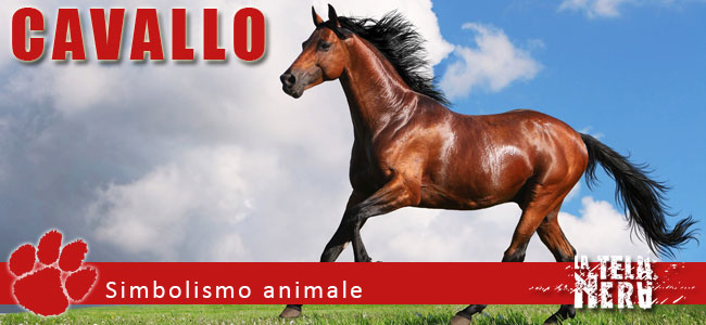 Simboli animali: il significato del Cavallo