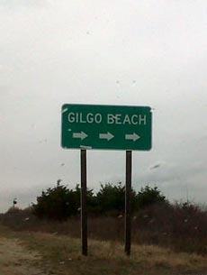 Serial Killer e Notizie: Il serial killer di Gilgo Beach: omicidi seriali a Long Island?