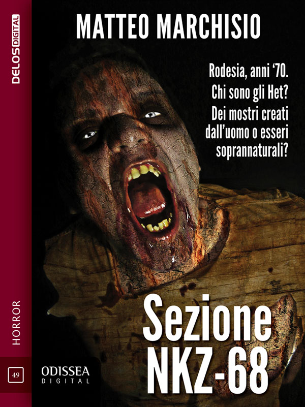 La copertina di Sezione NKZ-68 di Matteo Marchisio