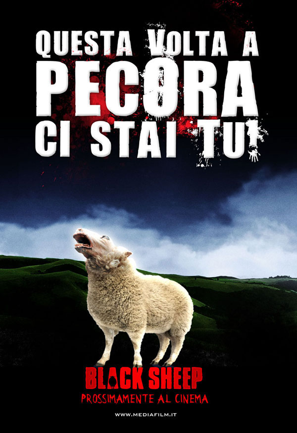 black-sheep-pecora-nera-06