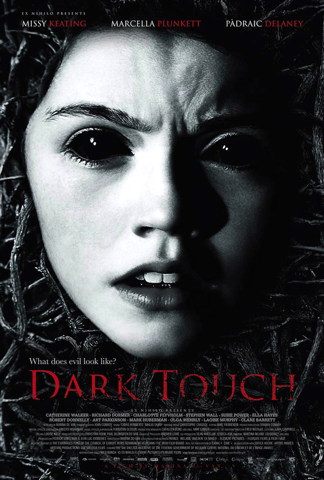 Locandina del film Dark Touch