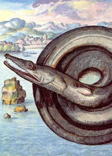 Il Serpente Marino, il predatore dell'oceano
