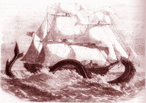 Un serpente marino in un'illustrazione