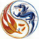 Simbolo esoterico: Drago e Fenice