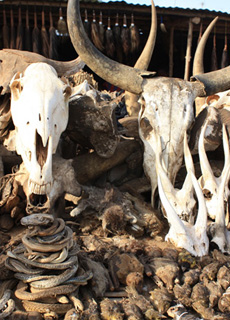 Il Mercato dei feticci e il Voodoo Festival in Togo e Benin